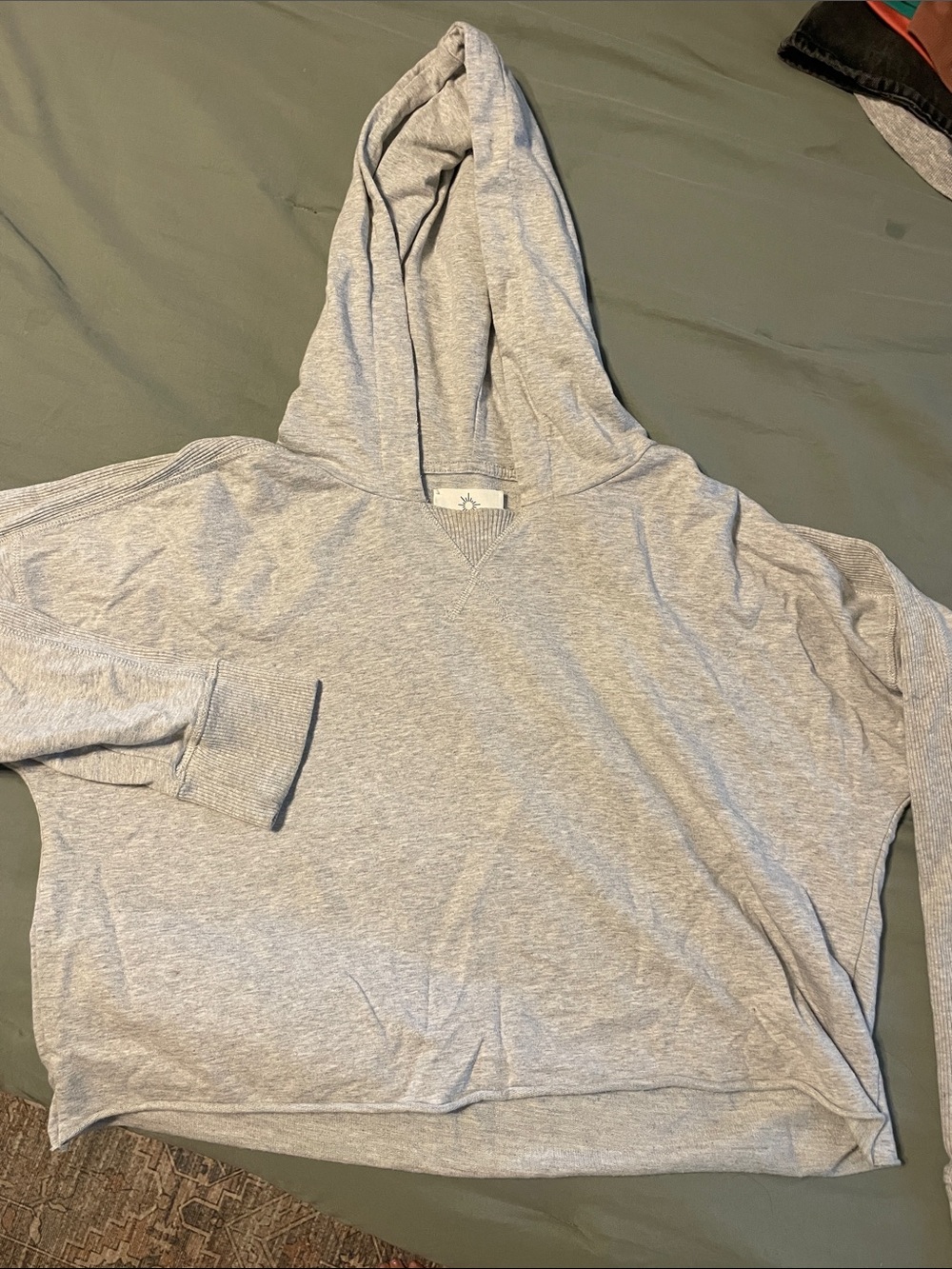 aerie Gray Pullover Sweatshirt with Hood